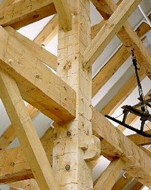Pine Heavy Timber