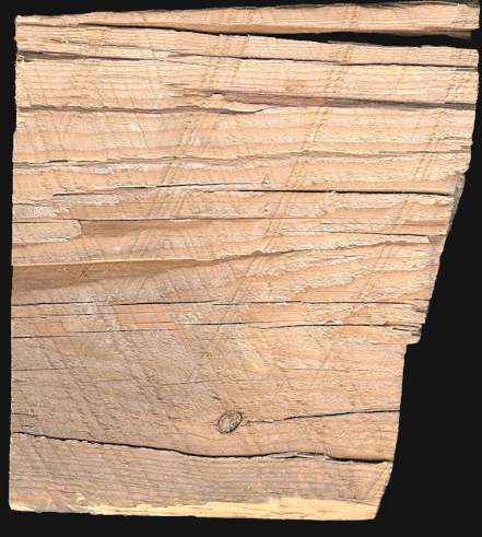 Side View of Shake & Checking in Hemlock Timber