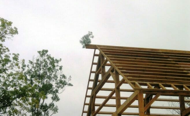 Timber Framed Gable with a Tree on Top