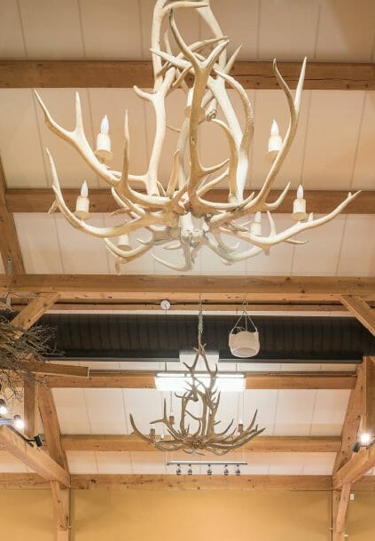 Timber Trusses with Steel in the Coastal Conservation Center Great Bay Discovery in NH