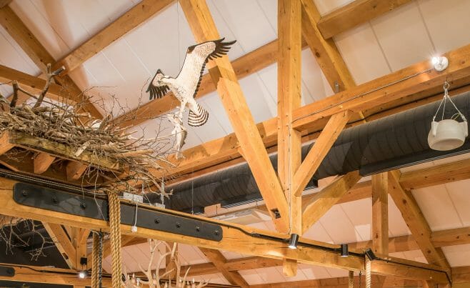 Timber Trusses with Steel in the Coastal Conservation Center Great Bay Discovery in NH