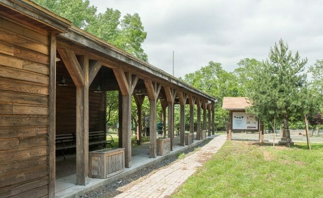 Weathered Timber Walkway at Clay Pit Ponds Visitor Center in Staten Island, NJ