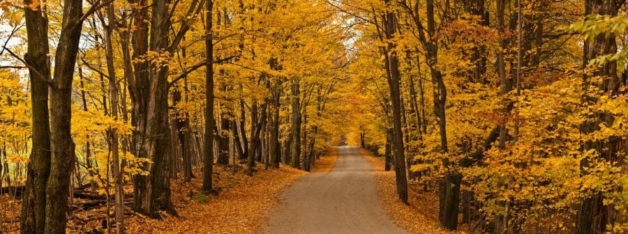 Autumn & Public Timber Frames in VT