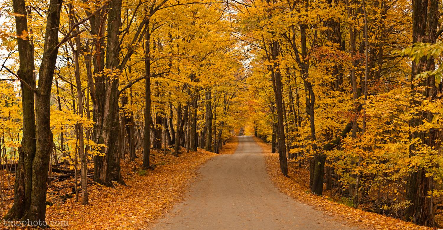 Autumn & Public Timber Frames in VT