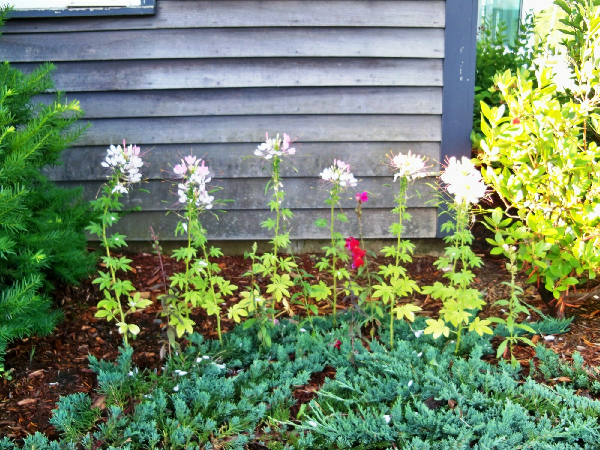 flowers-vermont-timber-works