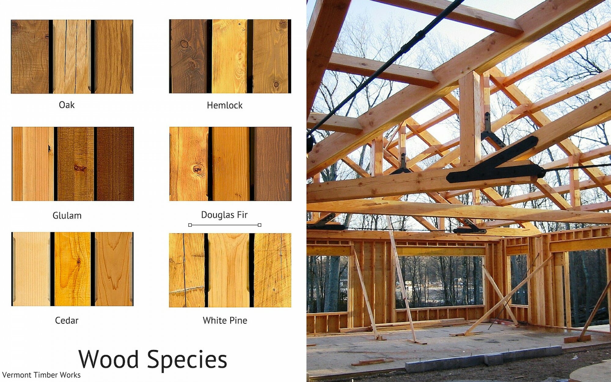 Northern Hardwood Frames Wood Species Descriptions Northern Hardwood Frames Wood Species Descriptions