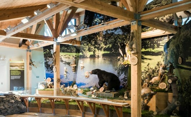 Interior of the Shenandoah State Park Visitors Center