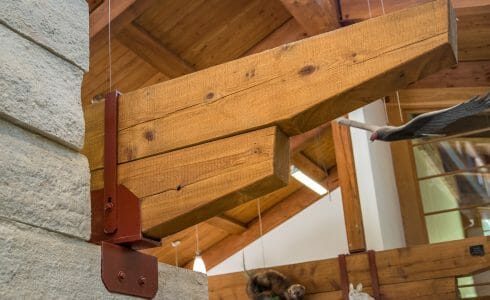 Steel and Timber detail in the interior of the Sams Point Visitors Center in Upstate NY