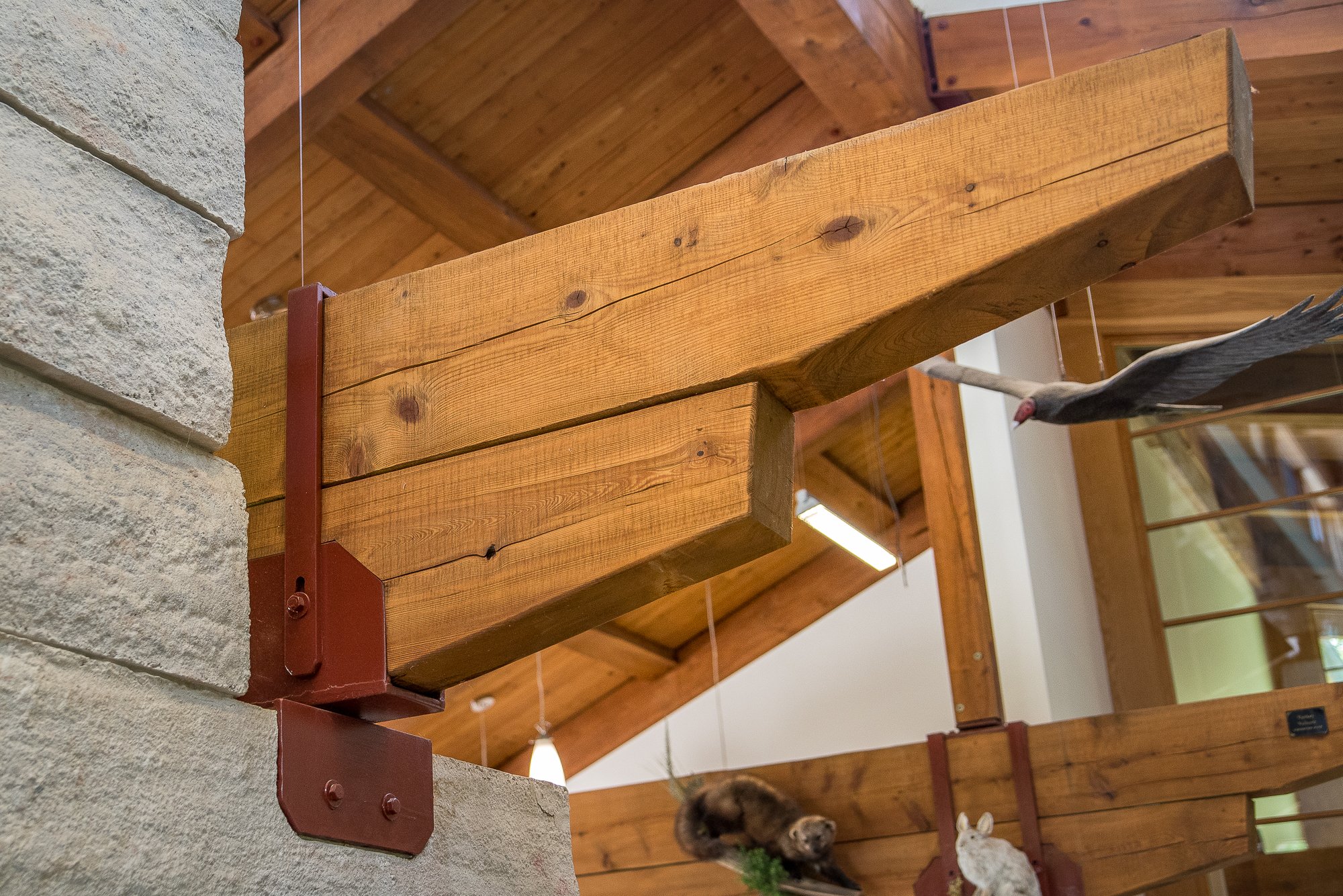 Steel and Timber detail in the interior of the Sams Point Visitors Center in Upstate NY