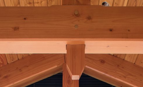 Douglas fir beams and trusses in the Port Society Complex. Close Truss detail.