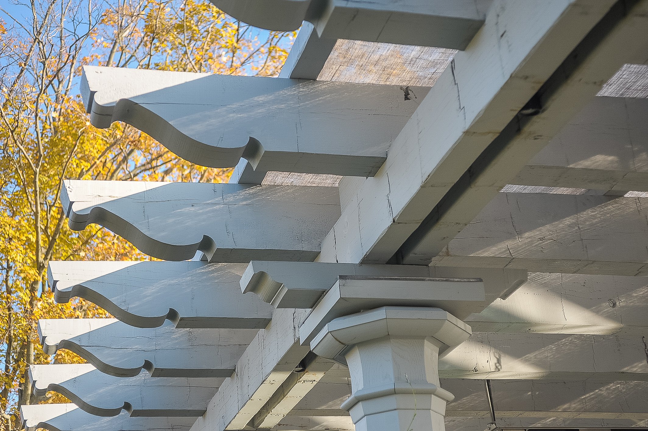 Whitewashed Scrolls on a Timber Frame Pergola