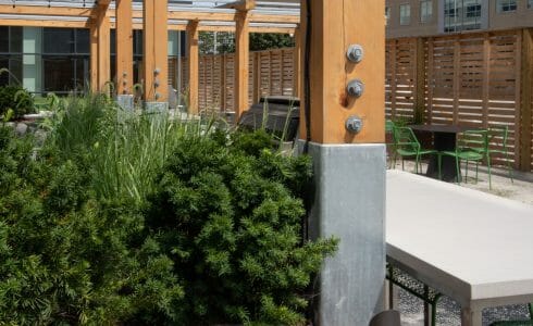 The Hamilton Pergola in Philadelphia, PA features a White Oak Pergola with Aluminum capping.