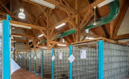 Heavy Timber Trusses and beams in the True Friends Animal Welfare Center in Montrose PA