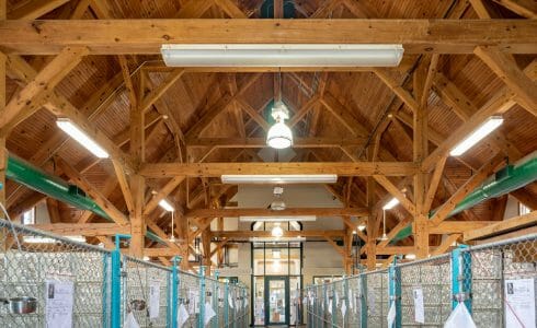 Heavy Timber Trusses and beams in the True Friends Animal Welfare Center in Montrose PA