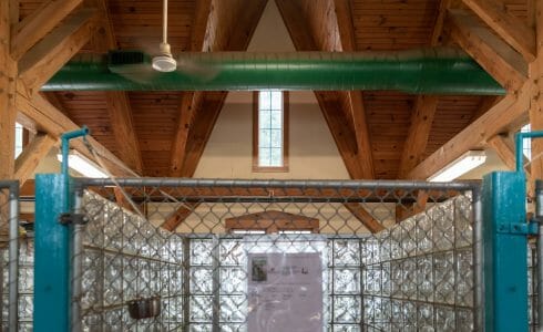 Heavy Timber Trusses and beams in the True Friends Animal Welfare Center in Montrose PA