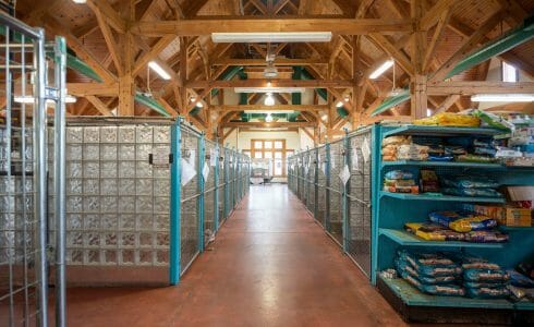 Heavy Timber Trusses and beams in the True Friends Animal Welfare Center in Montrose PA