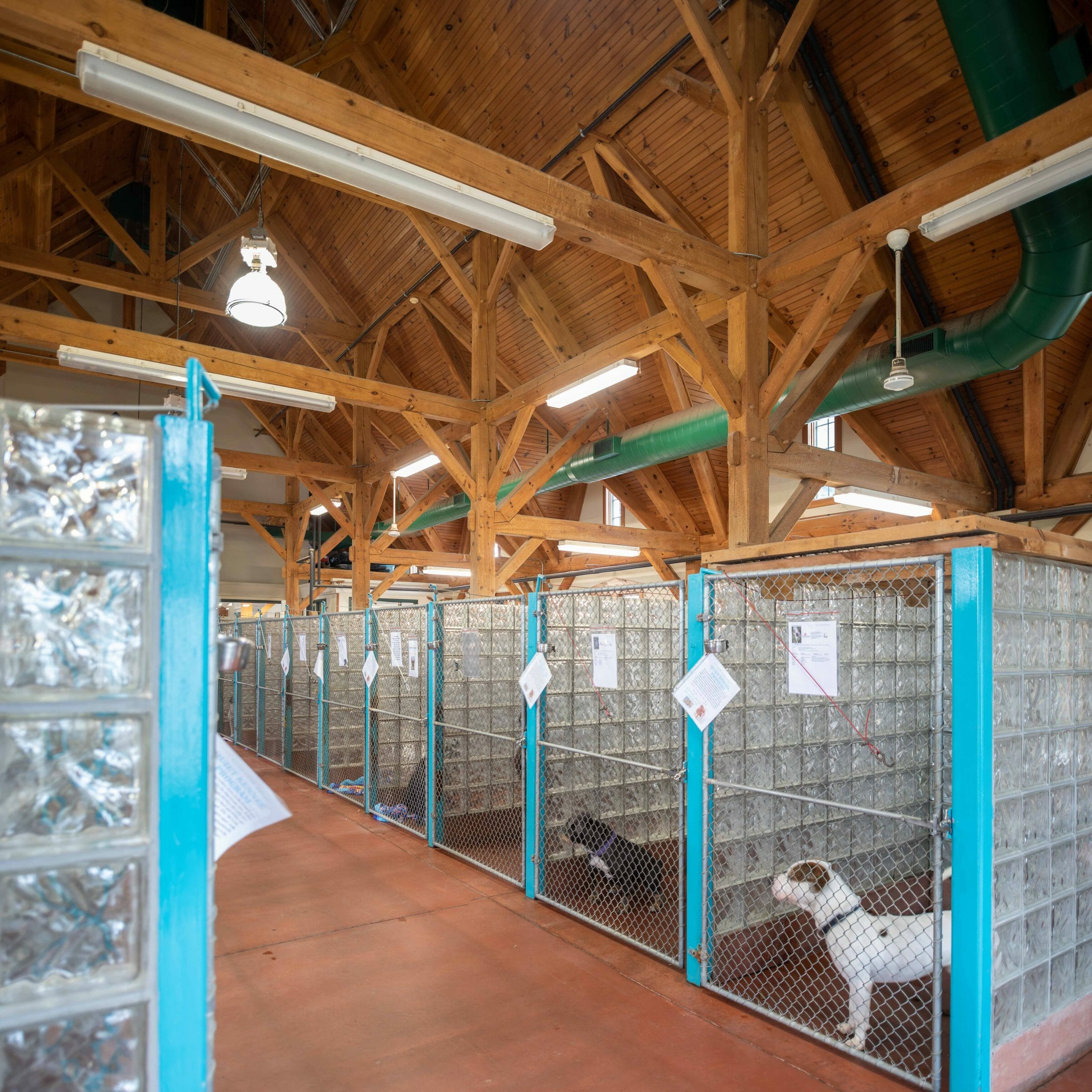 animal shelter tours near me