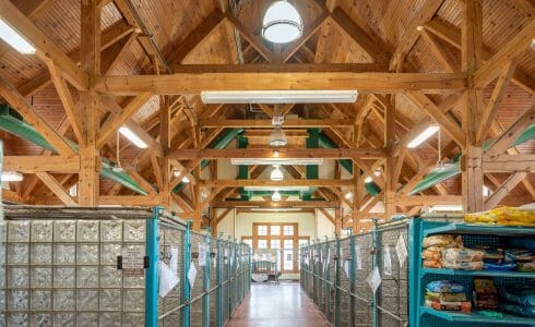 Heavy Timber Trusses and beams in the True Friends Animal Welfare Center in Montrose PA