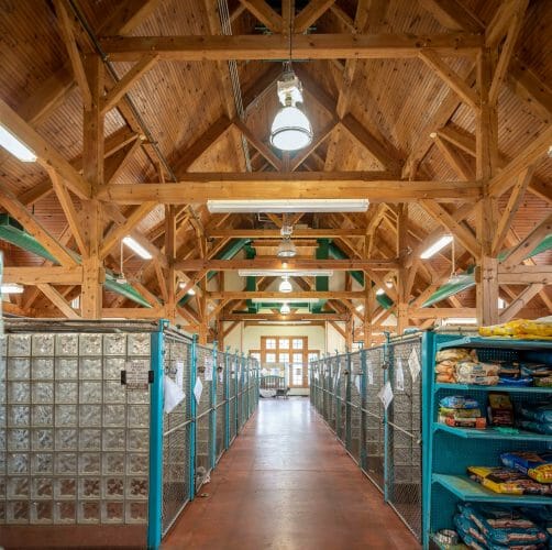 Heavy Timber Trusses and beams in the True Friends Animal Welfare Center in Montrose PA