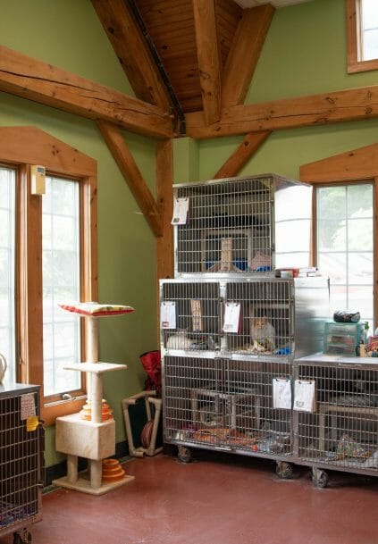 Cat shelter area in the True Friends Animal Welfare Center with Timber Posts and Beams in Montrose, PA