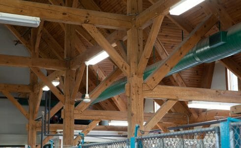 Heavy Timber Trusses and beams in the True Friends Animal Welfare Center in Montrose PA