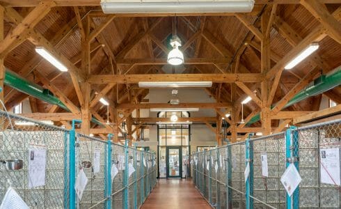 Heavy Timber Trusses and beams in the True Friends Animal Welfare Center in Montrose PA