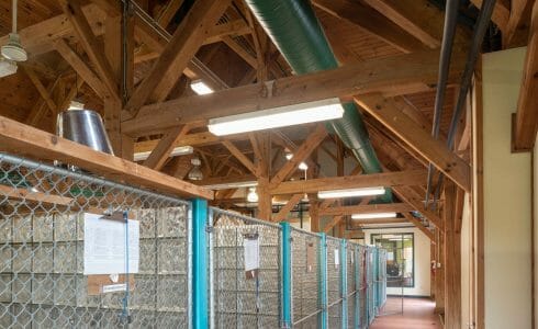 Heavy Timber Trusses and beams in the True Friends Animal Welfare Center in Montrose PA