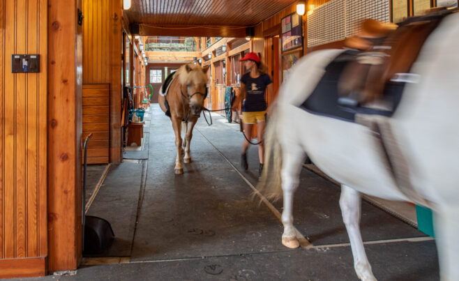 Kenney Stables Horse Barn Martha's Vineyard MA