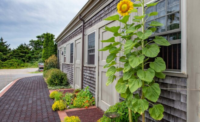 Kenney Stables Horse Barn Martha's Vineyard MA