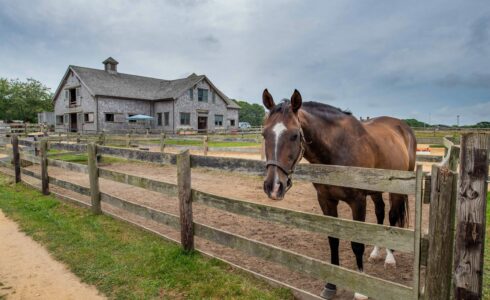 Osprey Horse Barn Weathered Cedar Siding on Martha's Vineyard