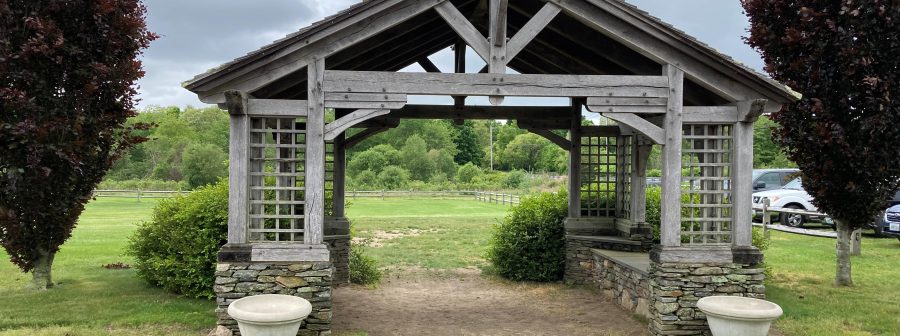 A Timber Framed Pavilion - From Vision to Reality...